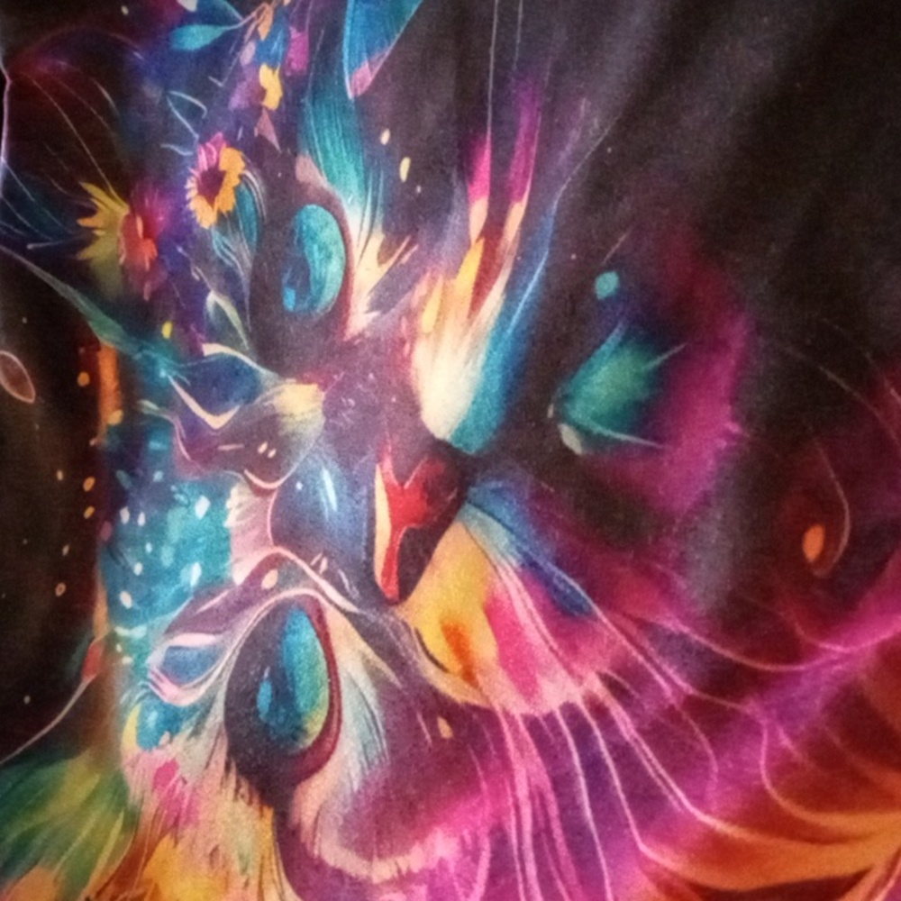 Colorful Kitten And Butterfly Print Set Of Two Pillow Cases Vibrant Col 20 X 20